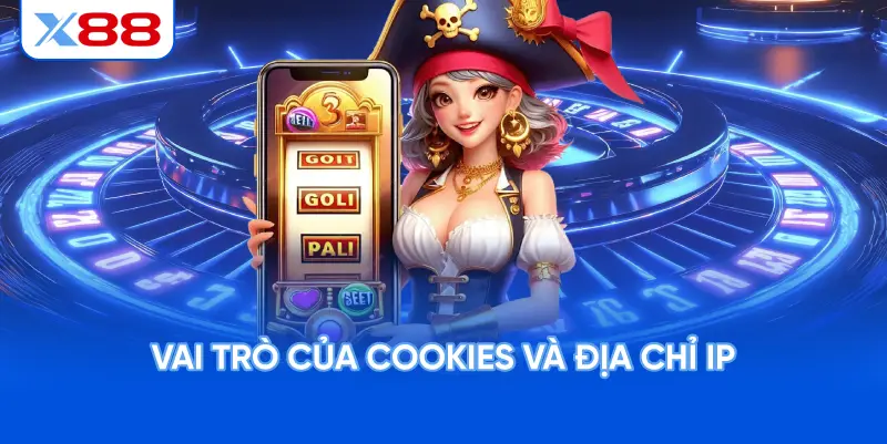 Vai Trò Của Cookies Và Địa Chỉ IP